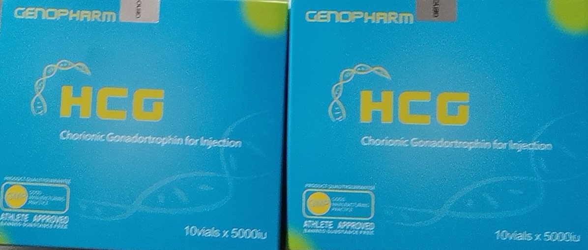 Buy Genopharm HCG (Pregnyl / HCG / Human Chorionic Gonadotropin) - Genopharm HK LTD (Hong Kong)