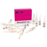 Buy Omnadren 250- Jelfa (Poland)